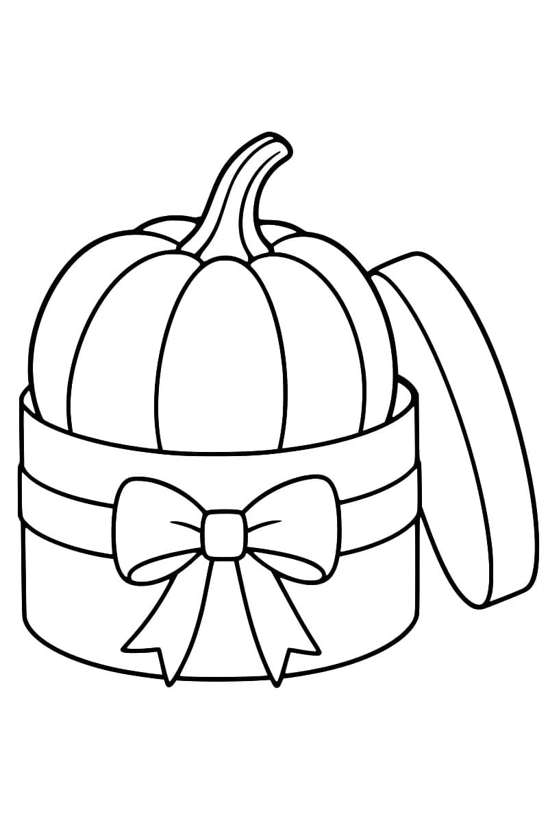 Dessin en noir et blanc d’une citrouille à longue tige courbée dans une boîte ronde décorée d’un ruban noué, avec le couvercle posé de biais à droite.