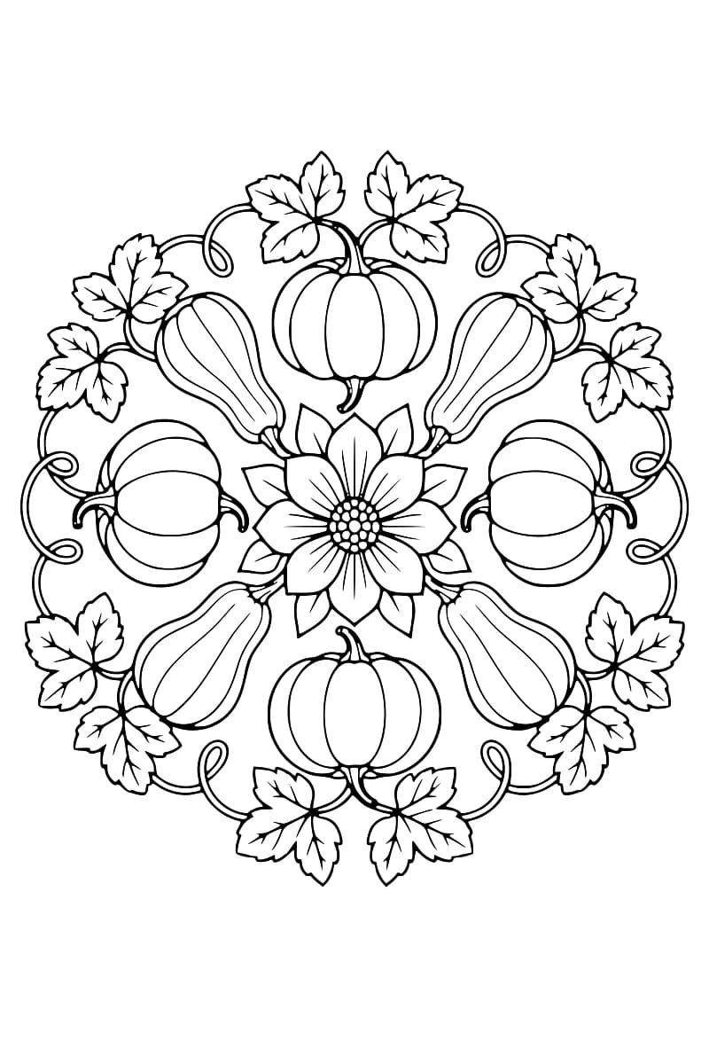 Mandala de huit citrouilles sans visage, de grandes feuilles et de vrilles autour d’une fleur.