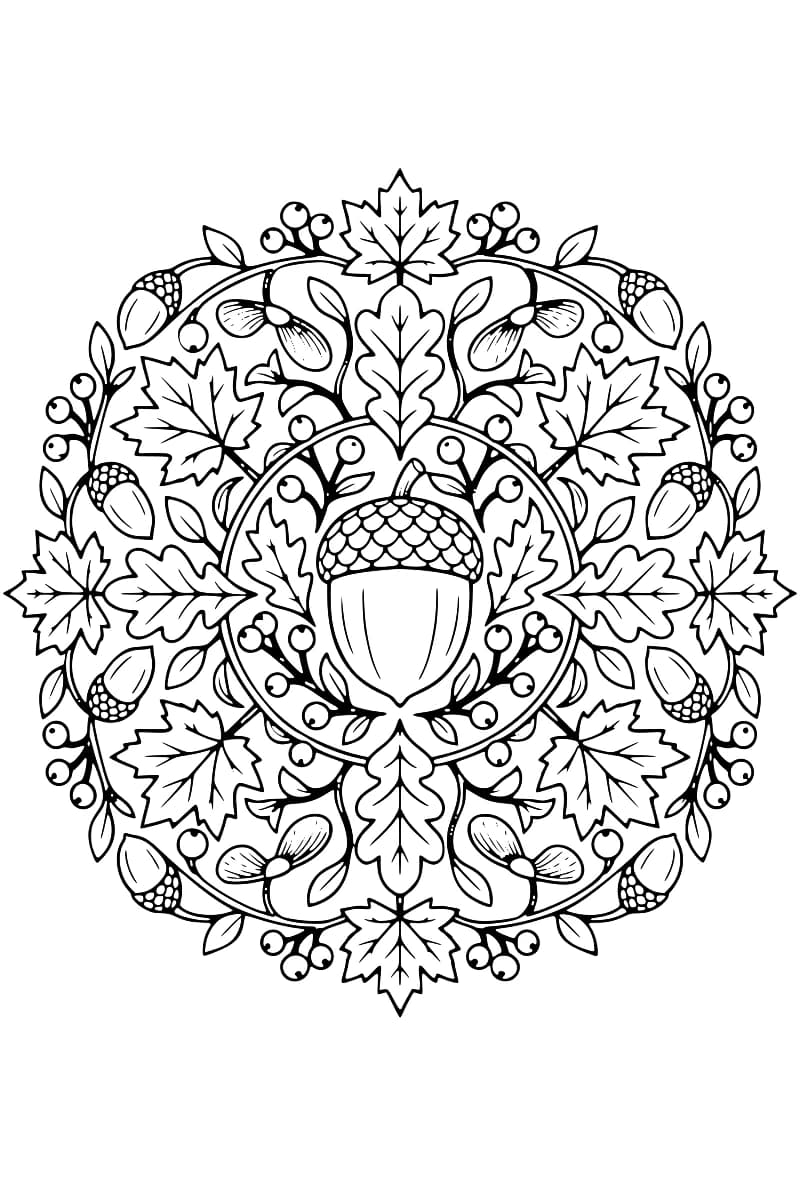 Dessin en noir et blanc d’un mandala circulaire avec un grand gland au centre, entouré de feuilles d’érable et de chêne, de petits glands et de baies.