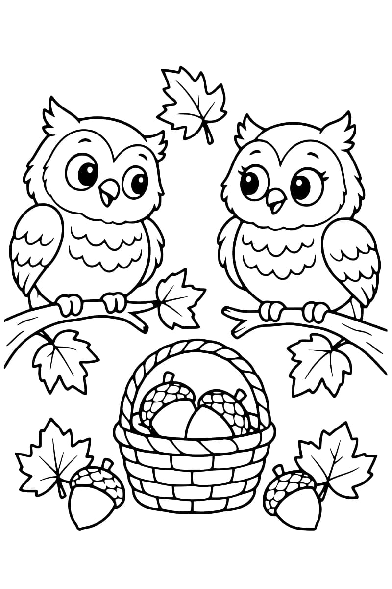 Dessin en noir et blanc de deux hiboux perchés sur des branches, avec un panier de glands, des feuilles et des glands autour.
